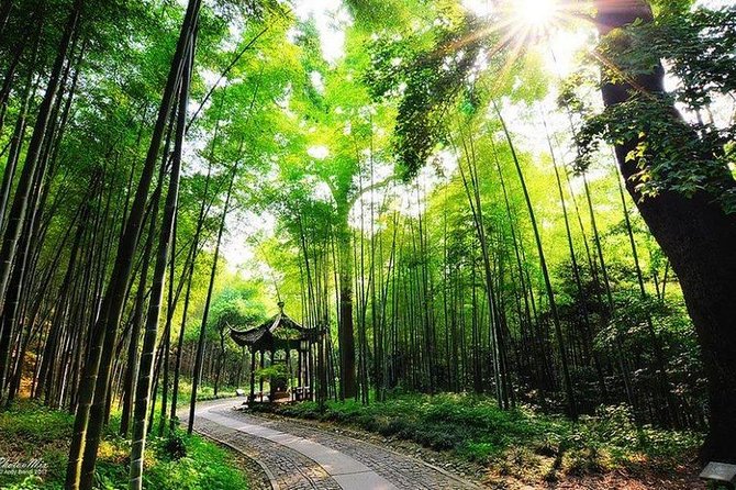 Flexible Hangzhou Private Day Tour With Lunch - Customizable Itinerary