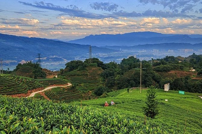 Flexible Hangzhou Private Day Tour With Lunch - Pickup and Accessibility