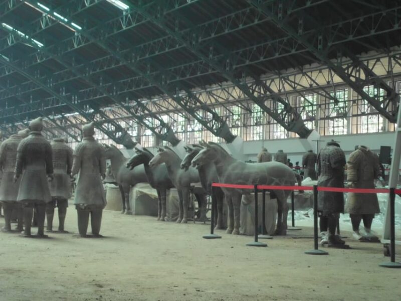 Flexible Private Custom Terracotta Warriors Full Day Tour - Customer Feedback