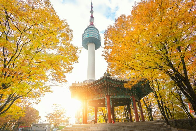 Flexible Private Guided Tour in Seoul (Optional Layover) - Group Size and Participation
