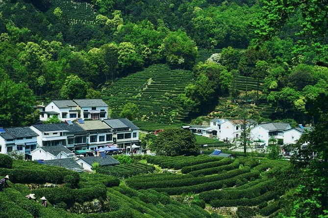 Flexible Private Hangzhou Layover Tour - Booking and Cancellation Policy