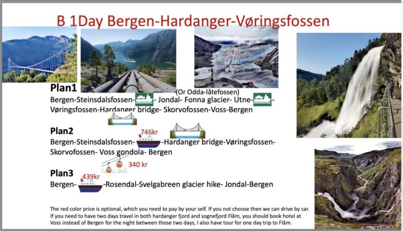 Flexible Tour to Hardangerfjord Vøringsfossen or Glacier - Live Tour Guide