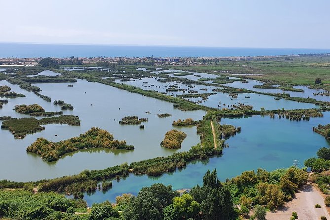 Flight Experience on Valencian Coast - Tour Details