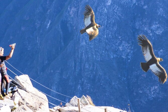 Flight of the Condor - Meeting and Pickup