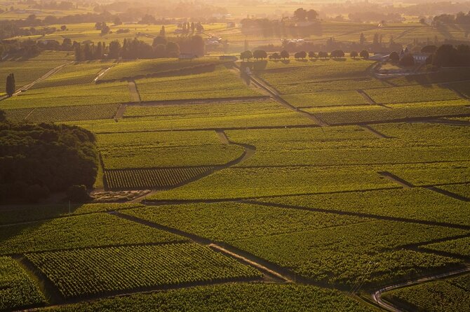 Flight Over the Great Vineyards of Aquitaine St Emilion Pomerol - What to Expect on the Tour