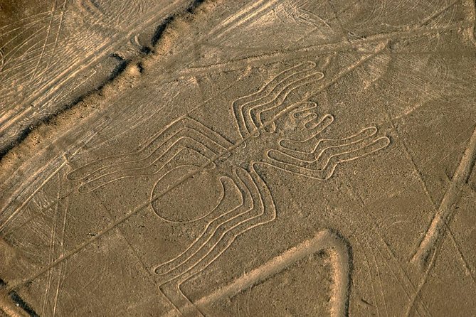 Flight Over the Nazca Lines From Nazca (35 Min) - Highlights of the Experience