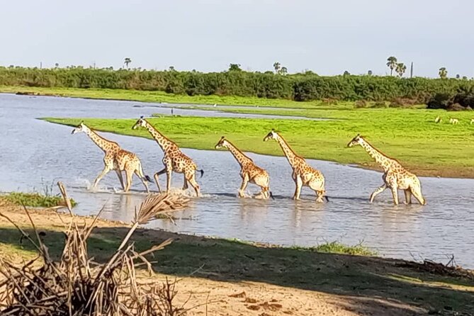 Flight Package Zanzibar to Nyerere National Park (Selous GR) 3 Days 2 Nights - Booking Information