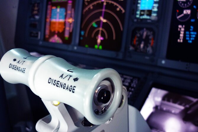 Flight Simulator HI SPEED for 30 Mins - Good To Know