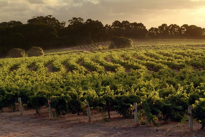 Flight to Leeuwin Winery for Lunch - Weather Conditions and Cancellations