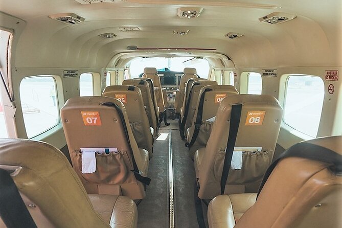 Flight to the Nazca Lines With Transfer From Ica - Transportation and Tour End