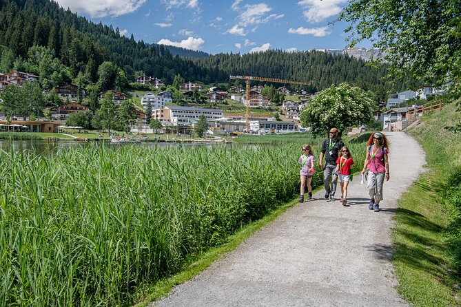 Flims Foxtrail Funtauna - Overview and Inclusions