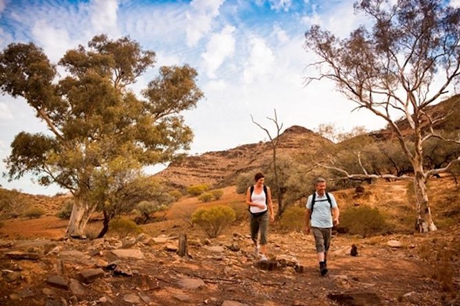 Flinders Ranges 3-Day Small Group 4WD Eco Tour From Adelaide - Discovering Aboriginal History and Wildlife