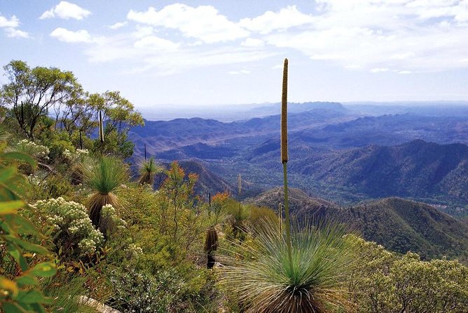 Flinders Ranges 5-Day Small Group 4WD Eco Tour From Adelaide - Scenic Flight Options