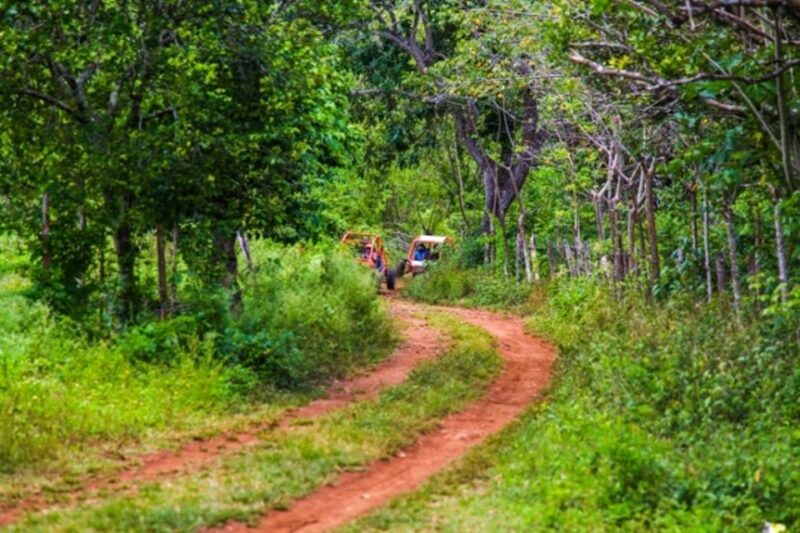 Flintstones Buggy, Cave and Adventure in Bavaro - Key Points