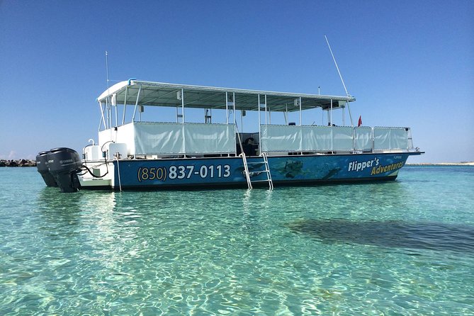 Flippers Adventures 2 Stop Snorkeling and Dolphin Cruise - Whats Included in the Experience
