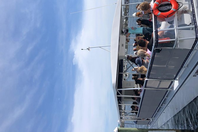 Flippers Adventures Dolphin Cruise - Maximum Travelers
