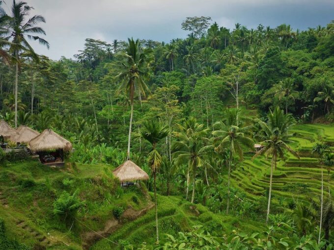 Floating Breakfast : Best Highlights of Ubud / Private Tour - Frequently Asked Questions