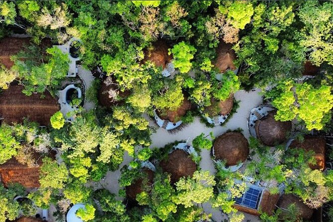 Floating Breakfast in the Yellow Nest (Near Dos Ojos Cenote) - Guest Reviews and Feedback