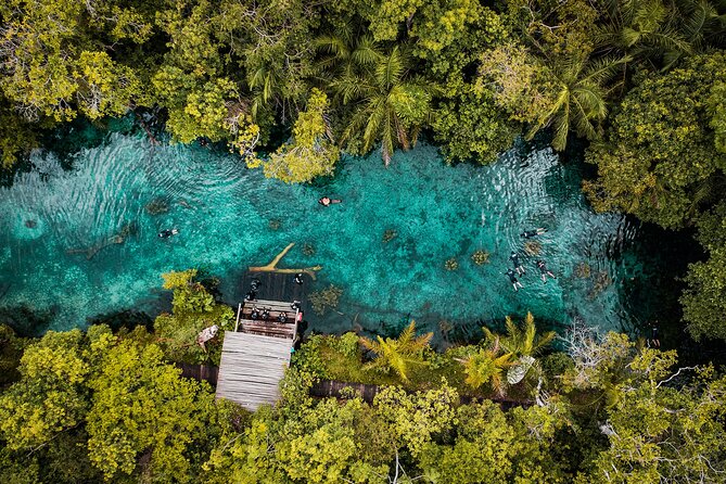 Floating in the Blue Spring - Arrival and Pickup Arrangements