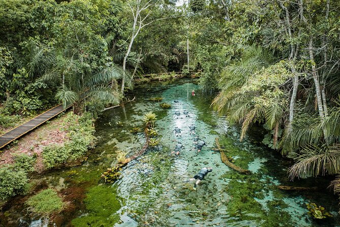 Floating in the Blue Spring - Customer Reviews and Ratings