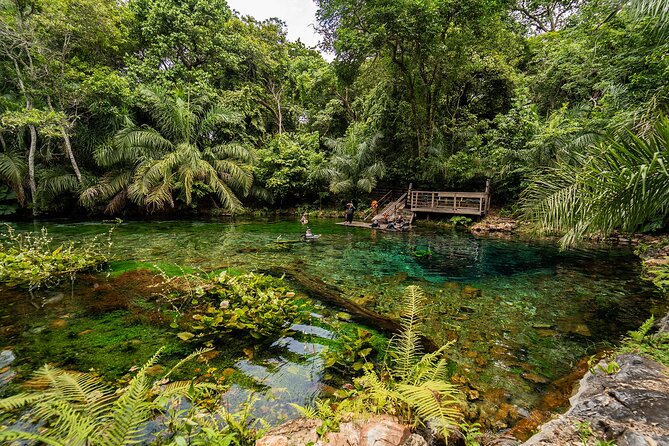 Floating in the Blue Spring - Optional Services and Flexibility
