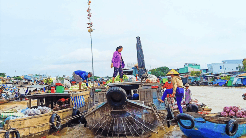 Floating Market - Son Islet Can Tho 1-Day Mekong Delta Tour - Preparation and Guidelines