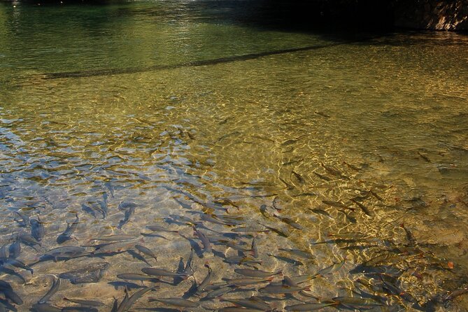 Floating On The River Formiga - Cardosa Tour - Tour Reviews and Feedback