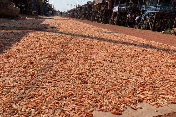 Floating Village (Kampong Phluk), Tonle Sap Half Day Tour - Discovering the Floating Village