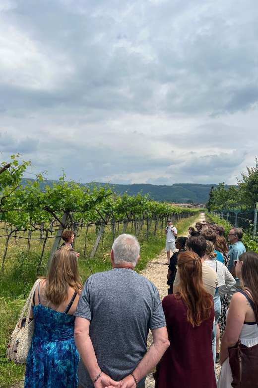 Florence: 2 Chianti Cellar Tours, Lunch & Transfer - Price and Inclusions