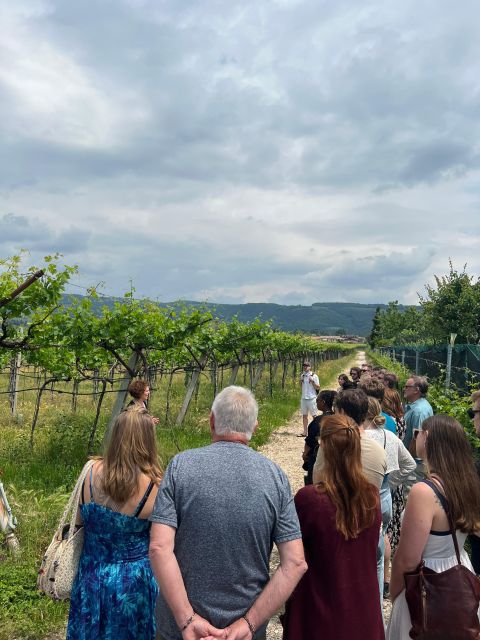 Florence: 2 Chianti Cellar Tours, Lunch & Transfer - Itinerary and Activities