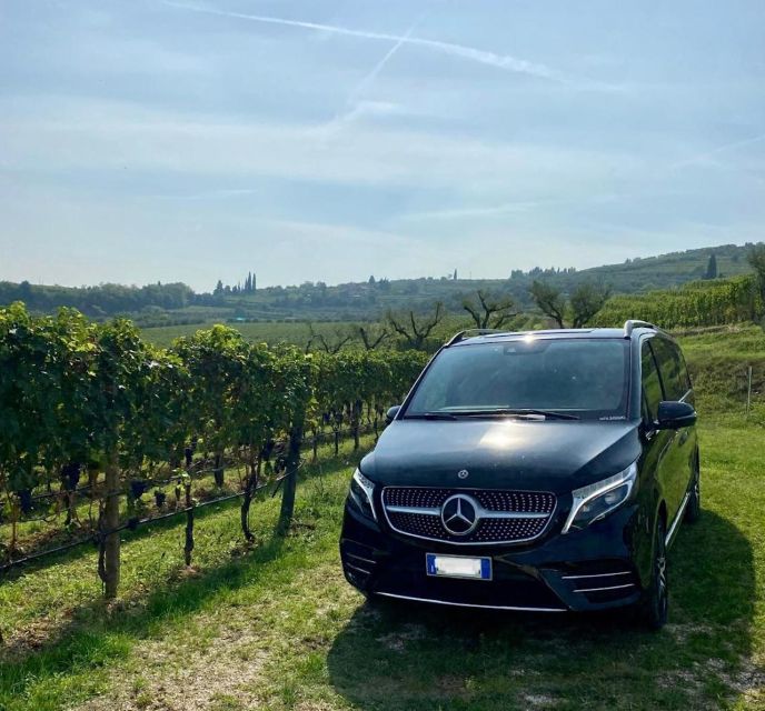 Florence: 2 Chianti Cellar Tours, Lunch & Transfer - Winery and Vineyard Visits