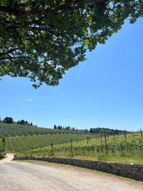 Florence: 2 Chianti Cellar Tours, Lunch & Transfer - Tuscan Lunch and Wines