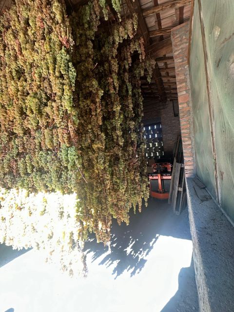 Florence: 2 Chianti Cellar Tours, Lunch & Transfer - Important Considerations