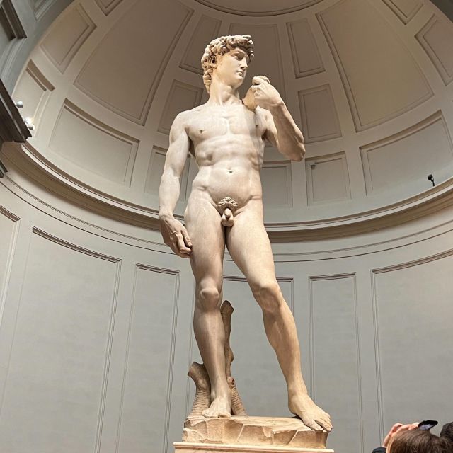 Florence: Accademia Gallery Guided Tour and Priority Entry - Traveler Feedback