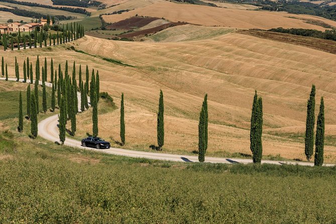 Florence Airport Private Departure Transfer - Pet-Friendly Transportation