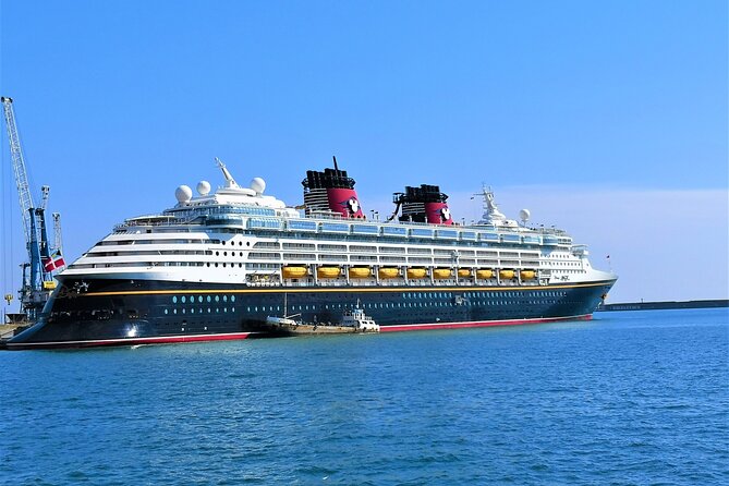 Florence and Pisa: Round Trip Tour From Livorno Cruise Port - Positive Customer Feedback