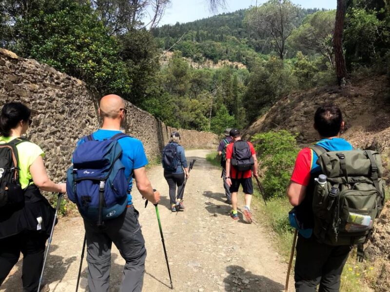 Florence: Arcetri Urban Hike - Highlights and Itinerary