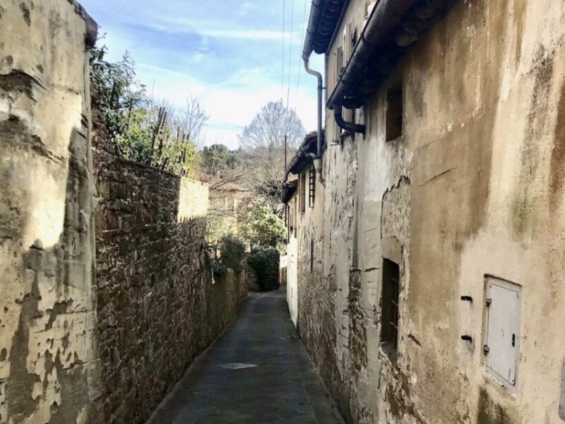 Florence: Arcetri Urban Hike - Tour Conditions and Restrictions