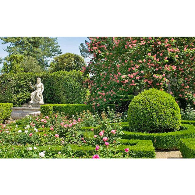 Florence: Boboli Garden Guided Tour - Key Points