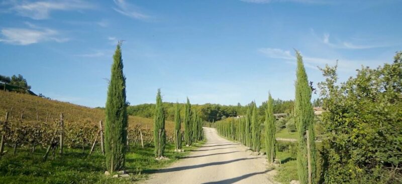 Florence: Chianti, Montalcino & Montepulciano Private Tour - Itinerary Highlights
