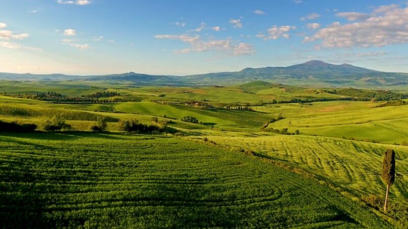 Florence: Chianti, Montalcino & Montepulciano Private Tour - Transportation and Comfort