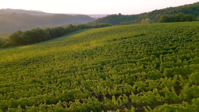 Florence: Chianti, Montalcino & Montepulciano Private Tour - Guided Lunch at Historic Farm