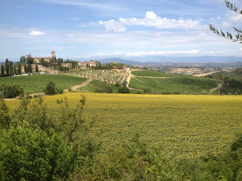 Florence: Chianti Sunset Vespa Tour With Wine & Oil Tasting - Olive Oil Tasting