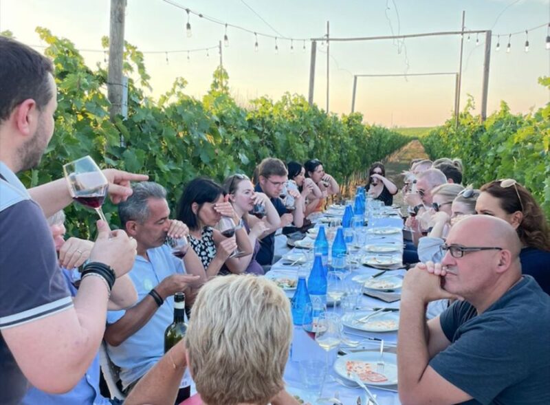 Florence: Chianti Vineyards Tour With Wine Tasting & Dinner - Key Points
