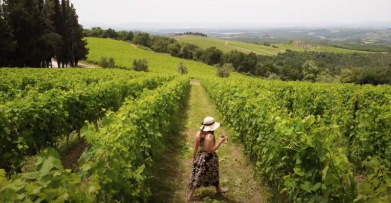 Florence: Chianti Vineyards Tour With Wine Tasting & Dinner - Itinerary and Activities