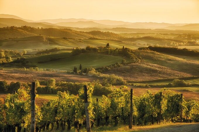 Florence: Chianti Vineyards Tour With Wine Tasting & Dinner - Booking and Cancellation