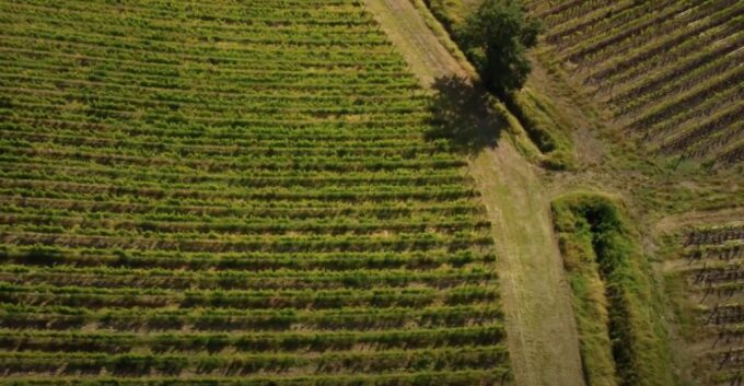 Florence: Chianti Vineyards Tour With Wine Tasting & Dinner - Frequently Asked Questions