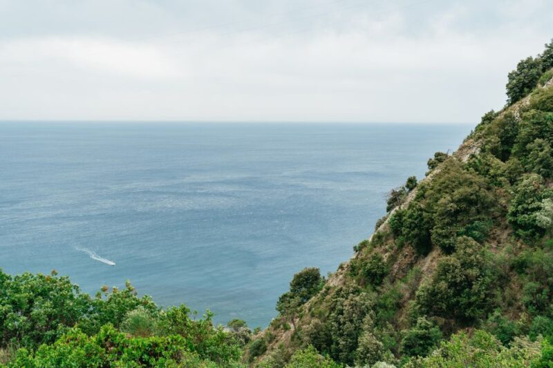 Florence: Cinque Terre Day Trip With Optional Hike - Customer Reviews and Ratings