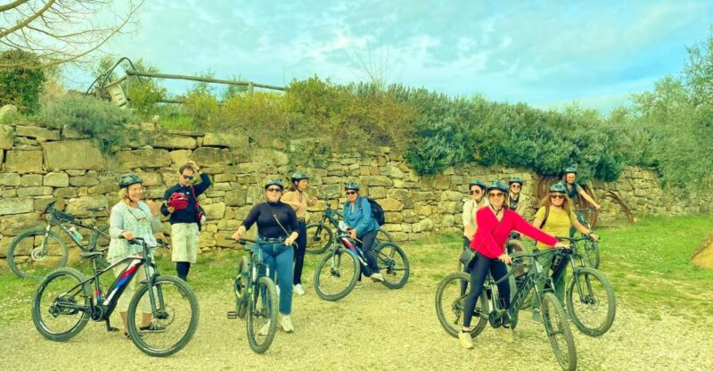 Florence: Country Ebike Tour + Wine Tasting in Organic Farm - Key Points