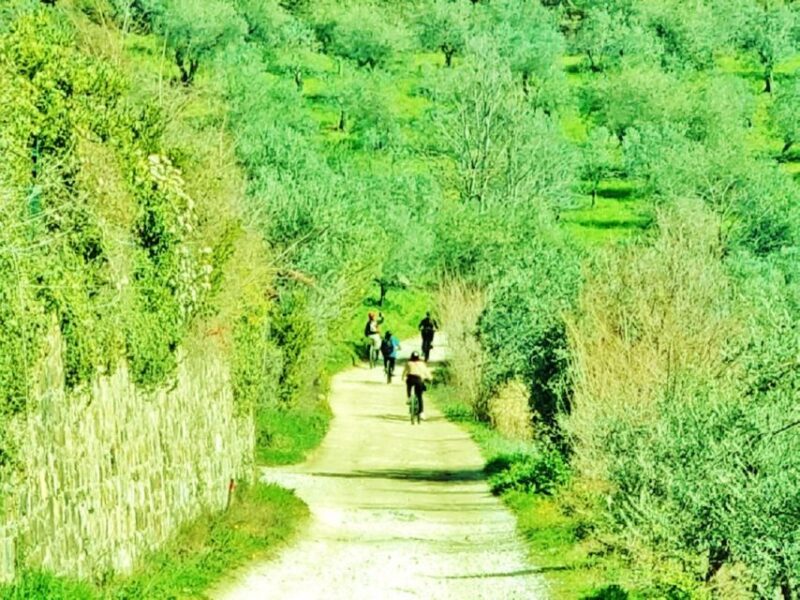 Florence: Country Ebike Tour + Wine Tasting in Organic Farm - Tour Logistics